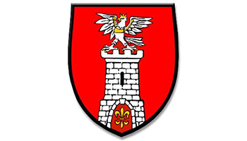 Pomoc w sprzątaniu dróg Pomoc w sprzątaniu dróg